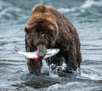 全球分布式网络